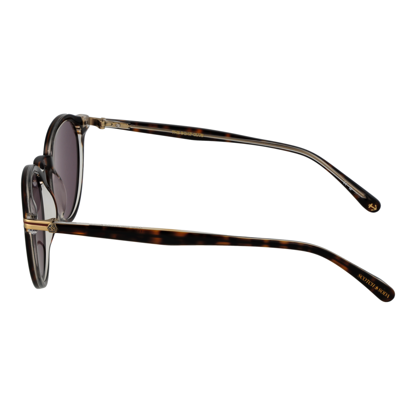 Scotch & Soda Sunglasses SS8023 102 51