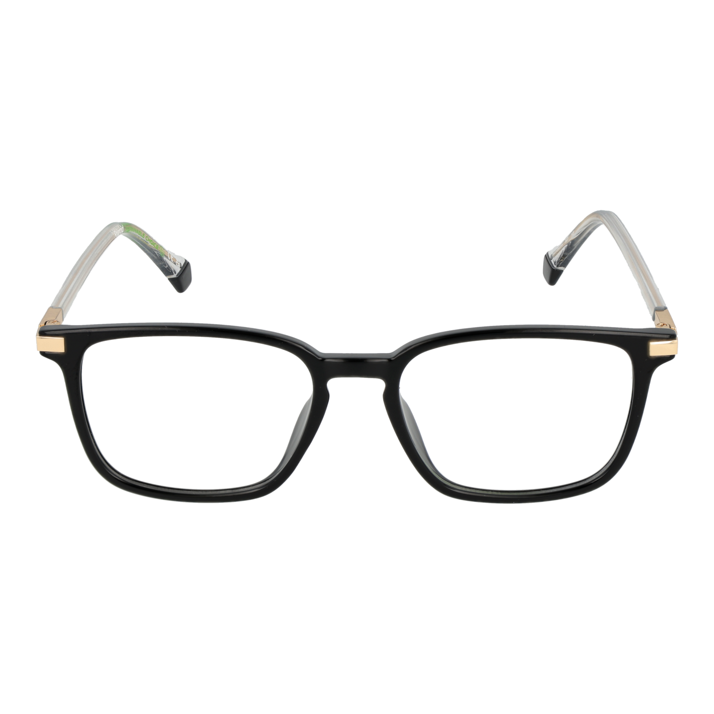 Polaroid Glasses PLD D523/G 5280717