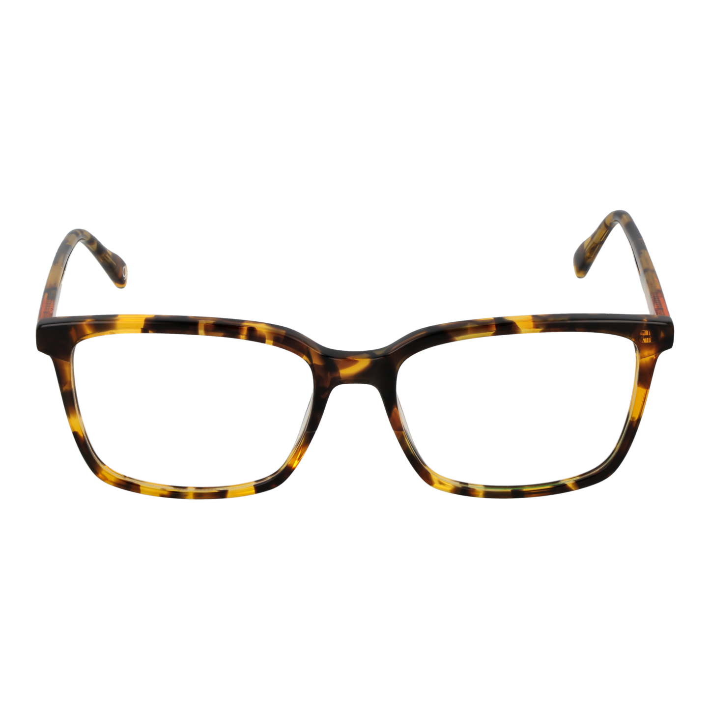 Benetton Eyeglasses Frame BEO109 103 55