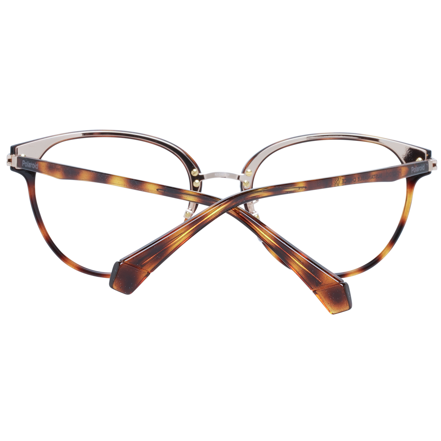 Polaroid Glasses PLD D427/G 52086