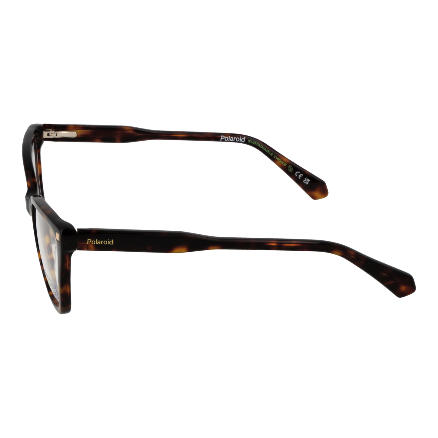 Polaroid Glasses PLD D520 5408619