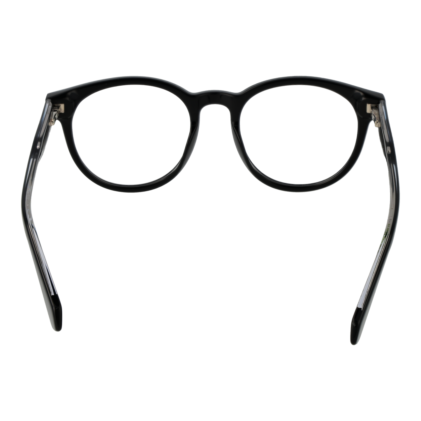 Polaroid Glasses PLD D519 5080719